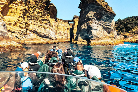 Vila Franca do Campo: Around The Islet Guided Boat Tour