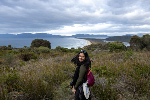 Desde Hobart: excursión de día completo a la naturaleza y los productos de Bruny Island