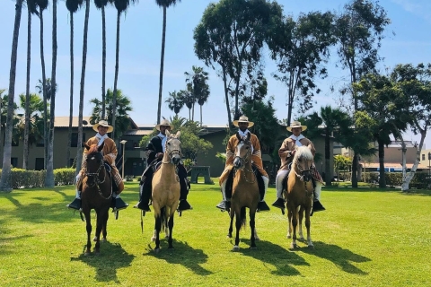 Trujillo: Show of Peruvian Paso Horse & Marinera with lunch Show & lunch - Transfers not included