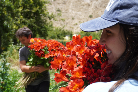 La Paz Flowers Valley Tour: ATV & Community Experience
