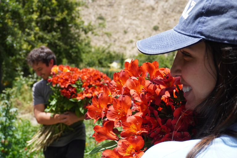 La Paz Flowers Valley Tour: ATV & Community Experience