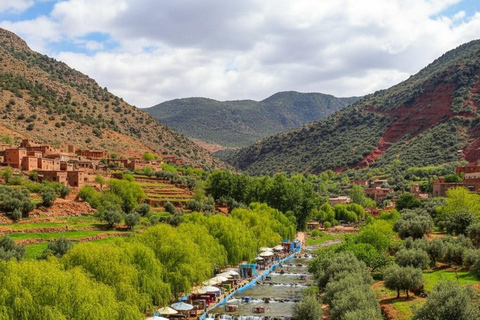 From Marrakech: Ourika Valley Atlas Mountains Day Trip with Lunch Option 3: Shared Group Transport and Local Guide