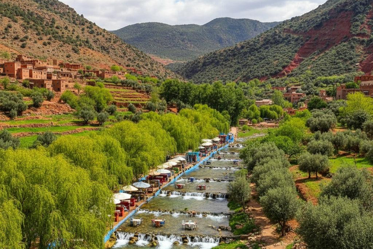 From Marrakech: Ourika Valley Atlas Mountains Day Trip with Lunch Option 3: Shared Group Transport and Local Guide