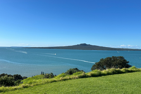 Auckland City Top Spots Half Day Tour(Small Group Tour)