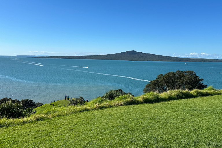 Tour di mezza giornata dei luoghi più interessanti della città di Auckland (tour per piccoli gruppi)