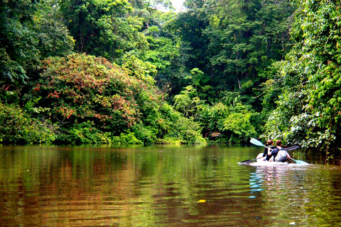 COSTA RICA:UPPTÄCK COSTARICAS VILDA DJUR-STRAND &amp; SKOG 2VECKOR