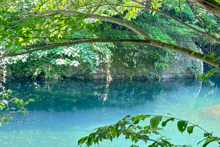 Jeju Sud : Visite en petit groupe d&#039;une journée à l&#039;UNESCO pour la guérison