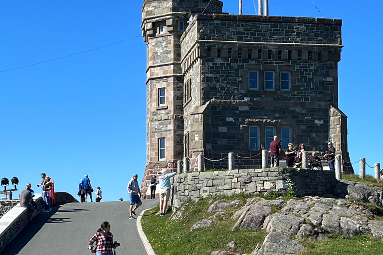 3 hour City Tour of St. John's, small group up to ten quests