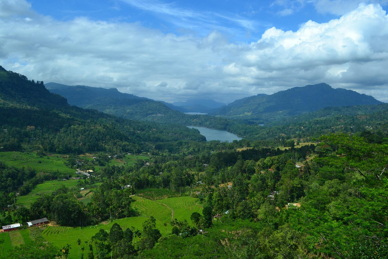 Depuis Colombo : 3 jours d&#039;escapade dans la région des collines avec un voyage en trainDepuis Colombo : 3 jours d&#039;escapade dans les collines avec un voyage en train