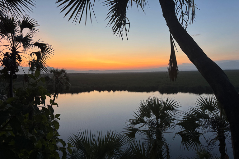 Addis Abeba: Awash-Nationalpark &amp; Harar 4-tägige Tour