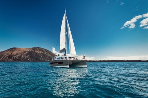 From Corralejo/Caleta de Fuste: Lobos Island Catamaran Trip - 2026