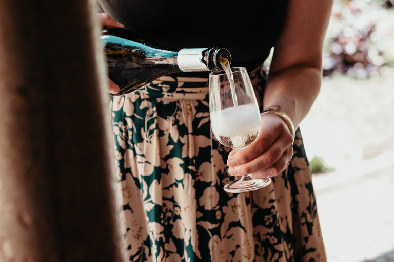 Albi: Tour gastronómico e pelo mercado com degustações e passeio histórico