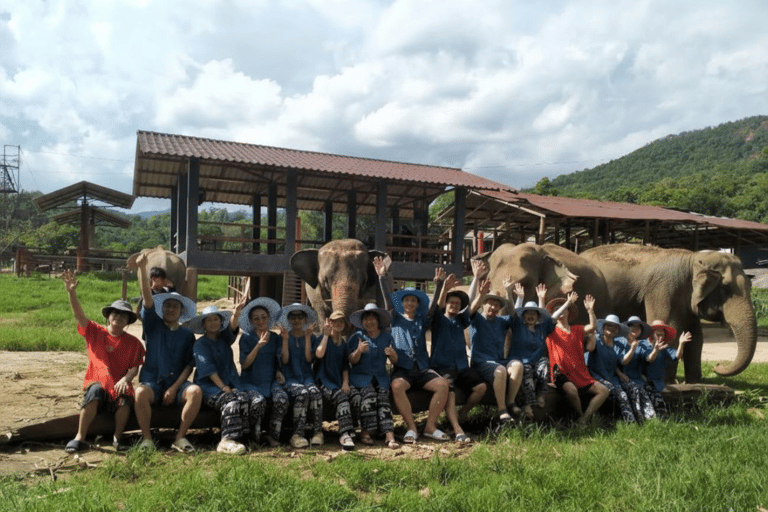 Chiang Mai: Pro Private Driver Service with Custom Itinerary