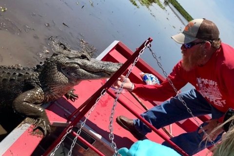 Small Airboat tour south of New Orleans.