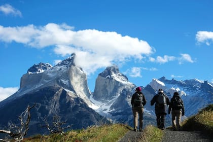 Full-Day Torres del Paine National Park from El Calafate - Housity