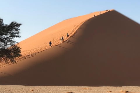 Namibia Express Adventure TourNamibia Highlights Adventure Tour z przewodnikiem