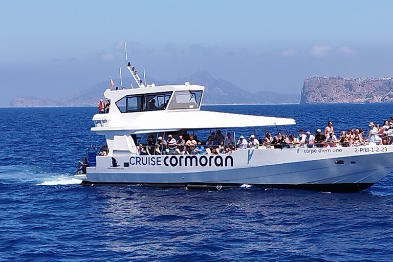 From Palma: Afternoon Dolphin-Watching Boat Tour 1:00 PM Tour from Hotel MLL Caribbean Bay