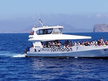 From Palma: Afternoon Dolphin-Watching Boat Tour