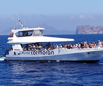 From Palma: Afternoon Dolphin-Watching Boat Tour