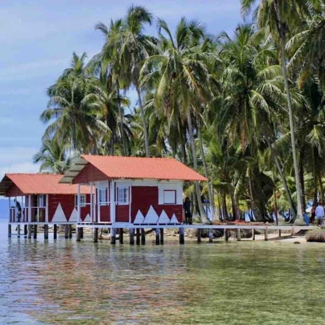 Galería de fotos para redes