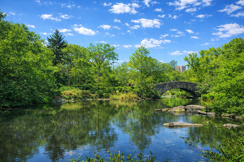 NYC Trolley - Manhattan Highlights