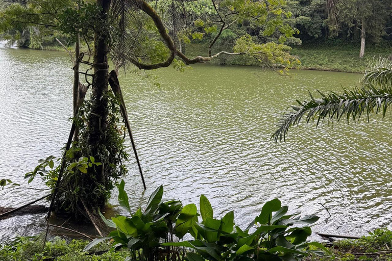 3 Tage und 2 Nächte Magoroto-Wald-Tagestour von Sansibar aus mit dem Flugzeug