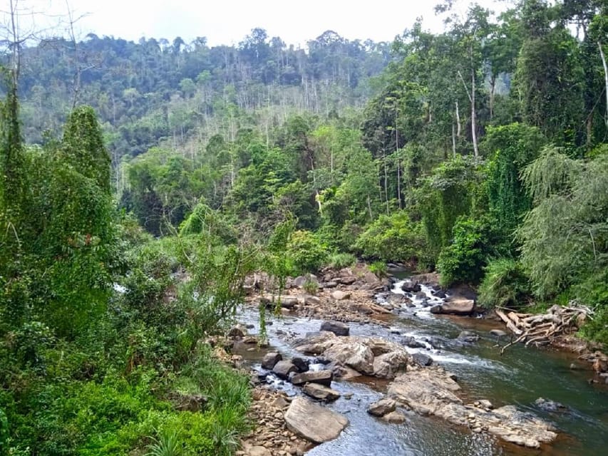 sinharaja tour guide