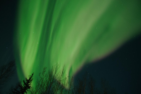 Fairbanks: Aurora Borealis Night Sky Tour & Photography