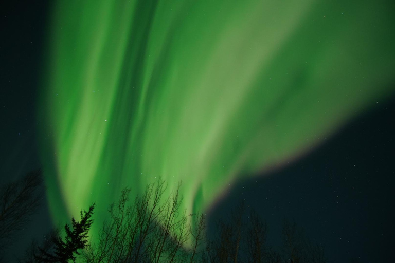 Fairbanks: Aurora Borealis Night Sky Tour & Photography