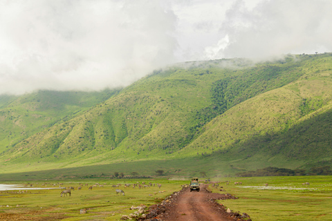 Safari de 2 jours dans le Tarangire et le cratère du Ngorongoro (milieu de gamme)