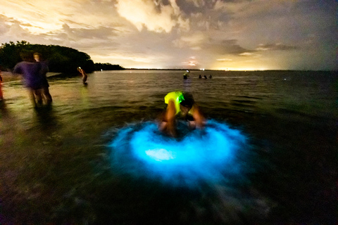 Orlando: Bioluminescenza chiara in kayak o in paddleboardTour della bioluminescenza chiara in kayak o paddleboard