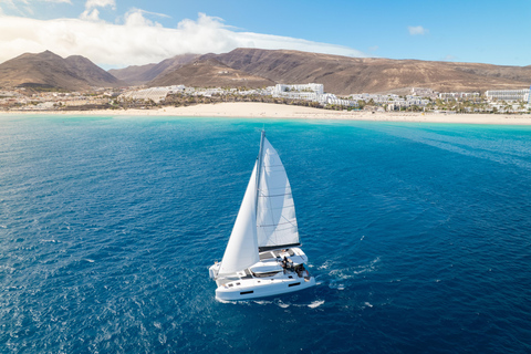 Fuerteventura: Magic Dreams Luxury Catamaran with dolphin watching. Magic Dreams Excursion without transportation