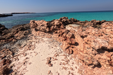 马斯喀特：在达亚马尼亚特群岛与海龟一起浮潜和皮划艇半日团体浮潜和皮划艇之旅，与海龟同行