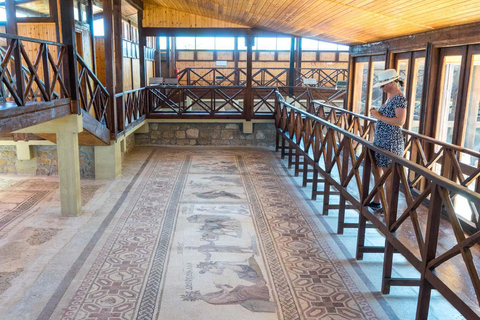 From Ayia Napa/Protaras/Larnaca: Paphos & Kourion in Italian