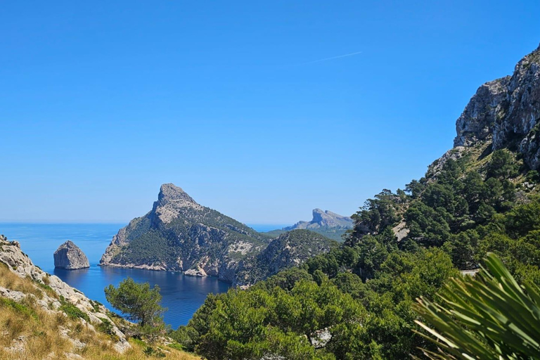 Mallorca: Scenic Formentor Tour by Bus & Boat Pick up in Playa de Muro
