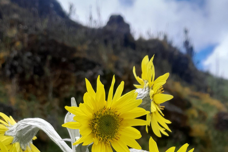 Hiking in Chingaza sector Guasca