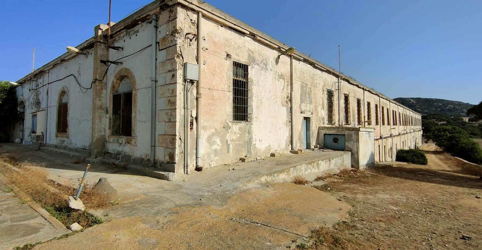 From Stintino, Day trip by minibus in Asinara National Park - Housity