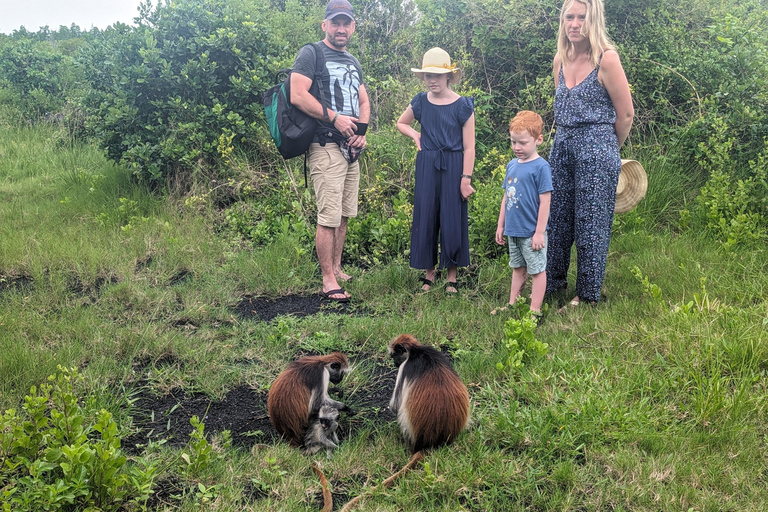 Zanzíbar: Excursión Privada al Bosque y Granja de Especias de Jozani con Almuerzo