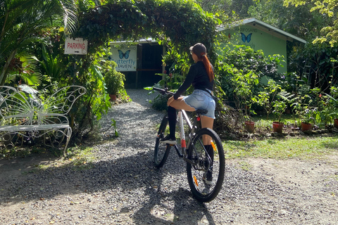 Private Bike Tour Waterfall, Views & Local Life