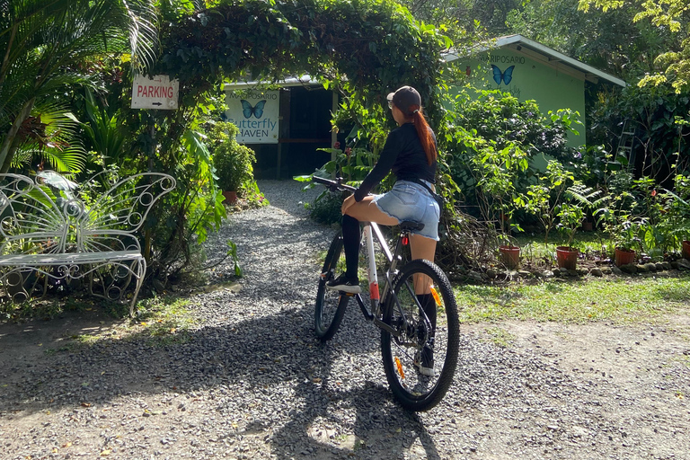 Private Bike Tour Waterfall, Views & Local Life