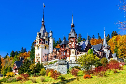 Castillo de Drácula, Castillo de Peles y Ciudad de Brasov ,Tour privado