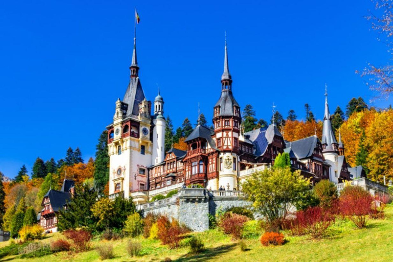 Dracula Castle, Peles Castle &amp; Brasov City ,Private Tour