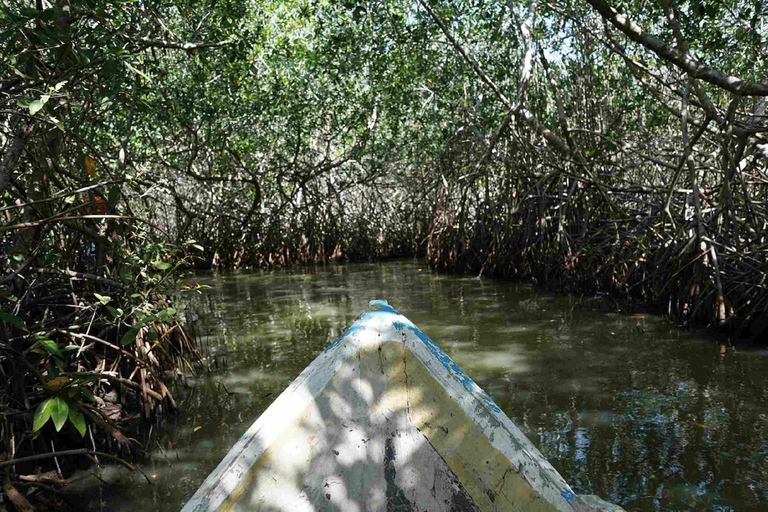 Cartagena Mangrove Tour