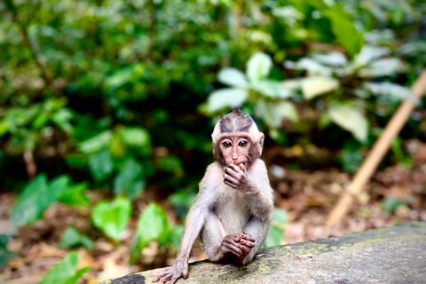 Ubud: Monkey Forest, Cretya Pool & Zipline Shared Tour Private Tour with Hotel Transfer - No Tickets