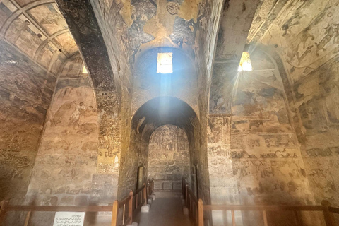 Amman: Desert Castles Shaumari Wildlife Private Day Trip