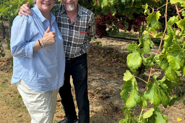 Private Swan Valley Wine Tour | Boutique Wineries