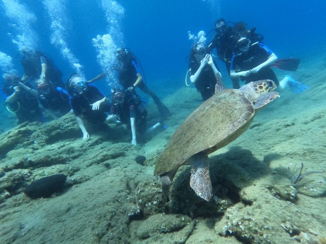 Visit Heraklion Scuba Diving Experience for Beginners in Heraklion