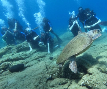 Heraklion: Scuba Diving Experience for Beginners
