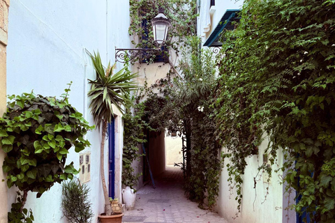 Tunis: Medina & Bardo Museum Private Tour with Tickets