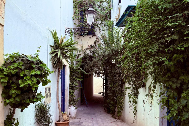 Tunis: Medina & Bardo Museum Private Tour with Tickets